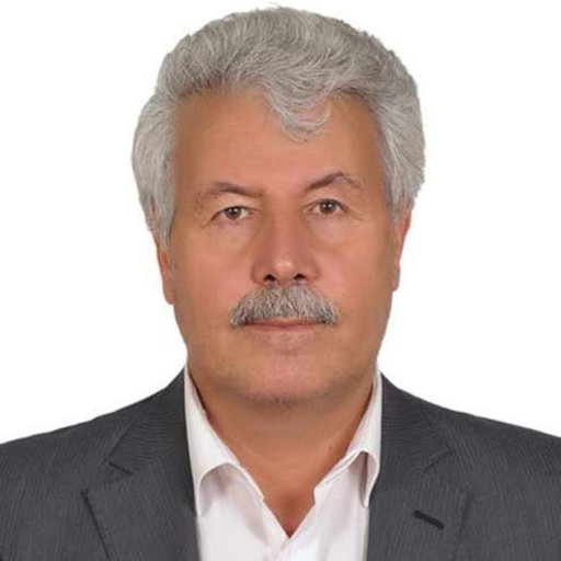 Prof. Dr. Yusuf ŞAHİN<br>(Fen ve Mühendislik Bilimleri)