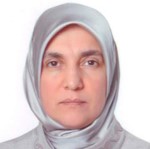 Assoc. Prof. Zeynep YAMAN<br>(Science and Engineering)
