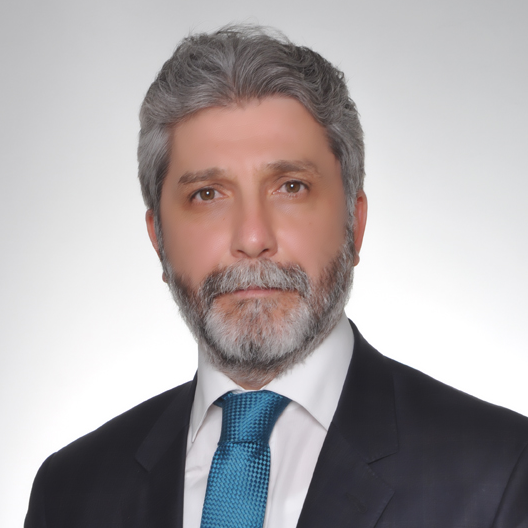 Prof. Dr. Çetin YAMAN<br>(Sosyal ve Spor Bilimleri)